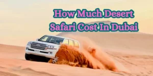 How Much Desert Safari Cost In Dubai