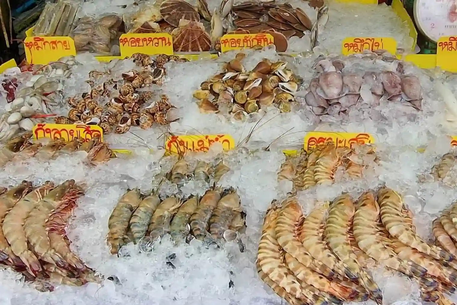 Side-by-Side Comparison and Latest Trends for Lobster in Dubai