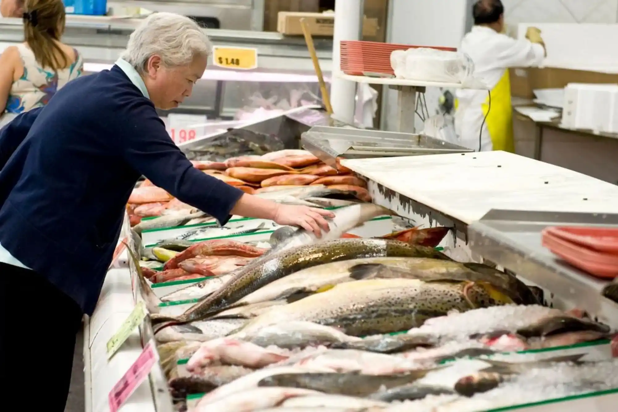 The Only Guide You Need to Understand Buy Sardine Fish Operations