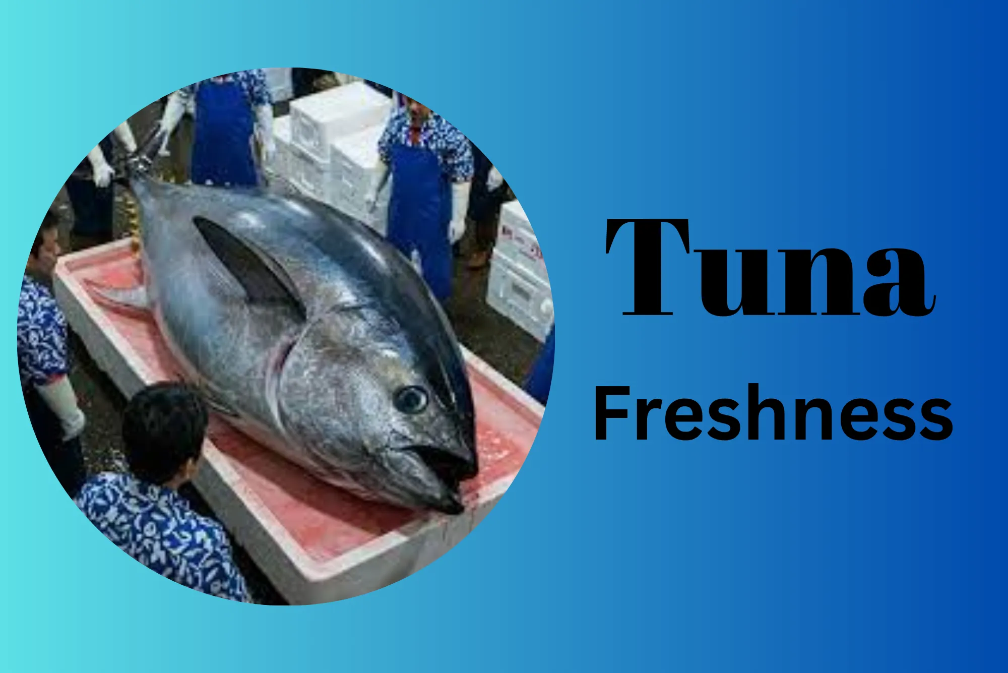 What Experts Say About Tuna Freshness United Dubai